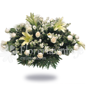 floreria-en-torreon