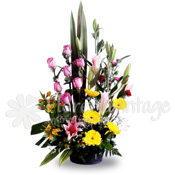 floreria-en-torreon