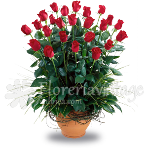 floreria-en-torreon