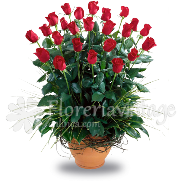 floreria-en-torreon
