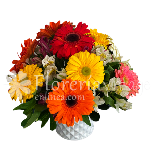 envios-de-flores-a-domicilio-12GER-BC-12-gerberas-alrededor