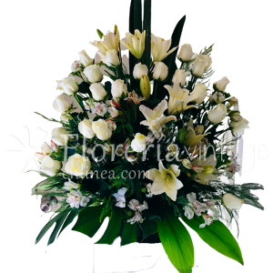 floreria-en-lerdo-24RB-BB-ilumina