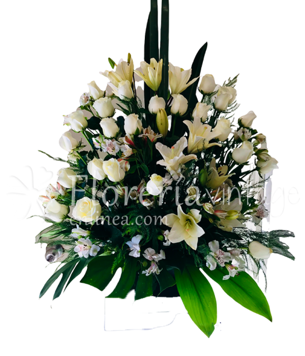 floreria-en-lerdo-24RB-BB-ilumina