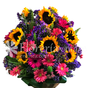 floreria-en-torreon-10GIR24GE-CAN-soles-de-amor