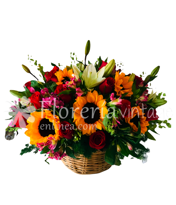 floreria-en-torreon-10GIR24RR-CAN-amor-con-sol