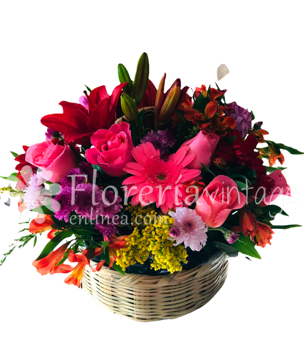 floreria-en-torreon-10RCLG-CAN-canasta-alegria