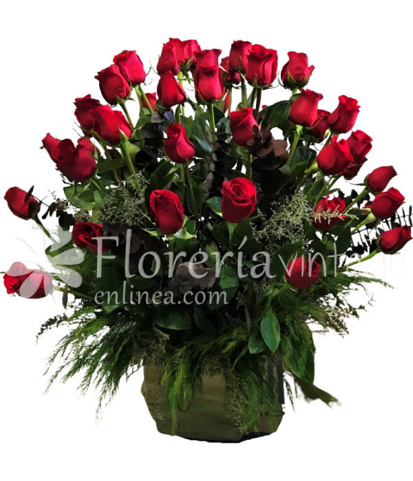 floreria-en-torreon-50RRC-BB-50-rosas-clasico